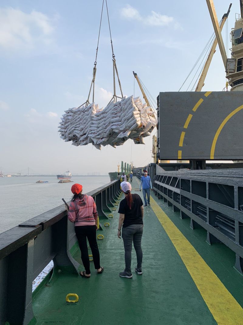 Xếp dỡ hàng rời từ Salan lên tàu biển (kiểm đếm và giao nhận)